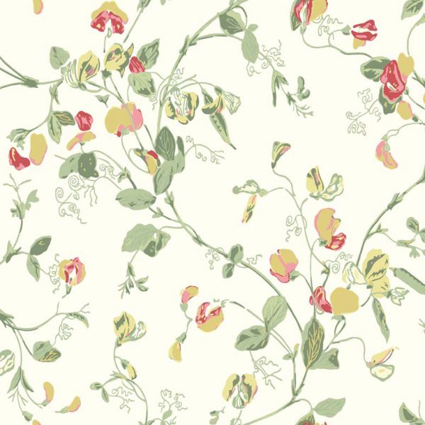 Cole And Son Wallpaper Sweet Pea 100/6027 | Allium Interiors