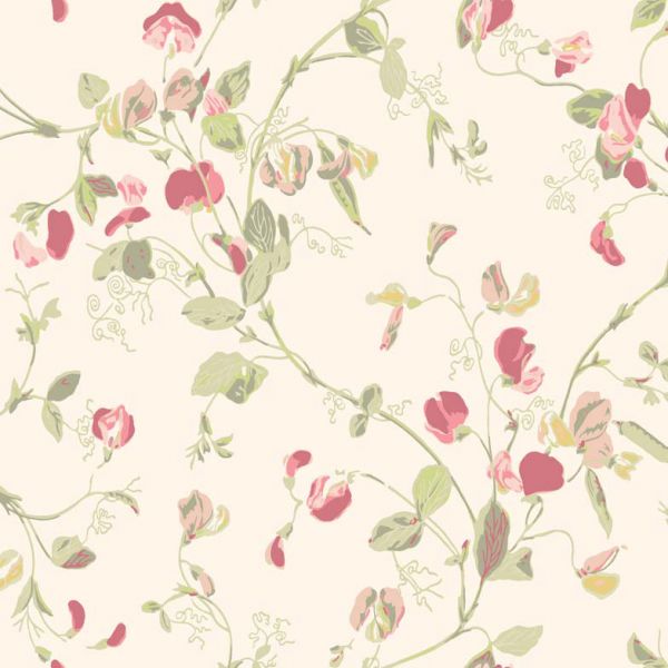 Cole And Son Wallpaper Sweet Pea 100/6028 | Allium Interiors