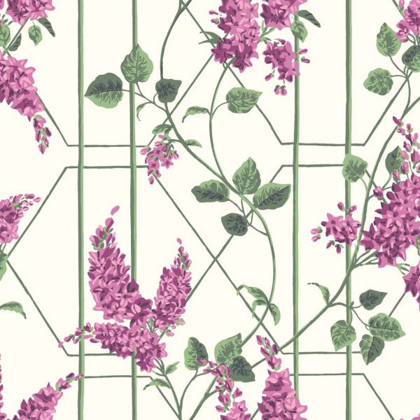 Cole And Son Wallpaper Wisteria 115/5013 | Allium Interiors