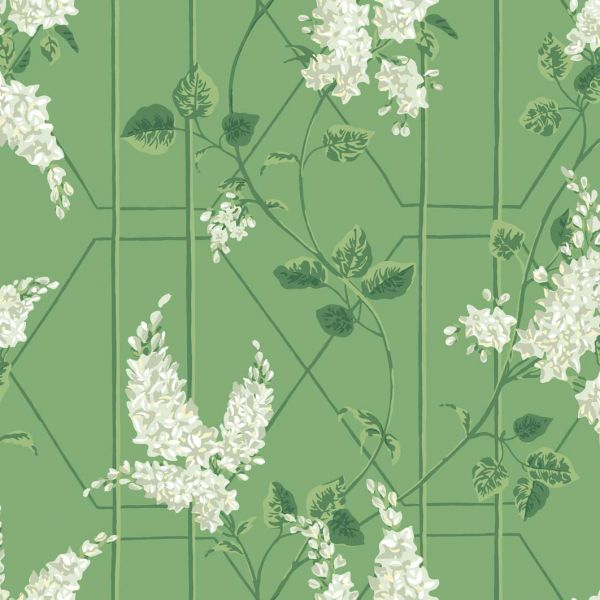 Cole And Son Wallpaper Wisteria 115/5016 | Allium Interiors