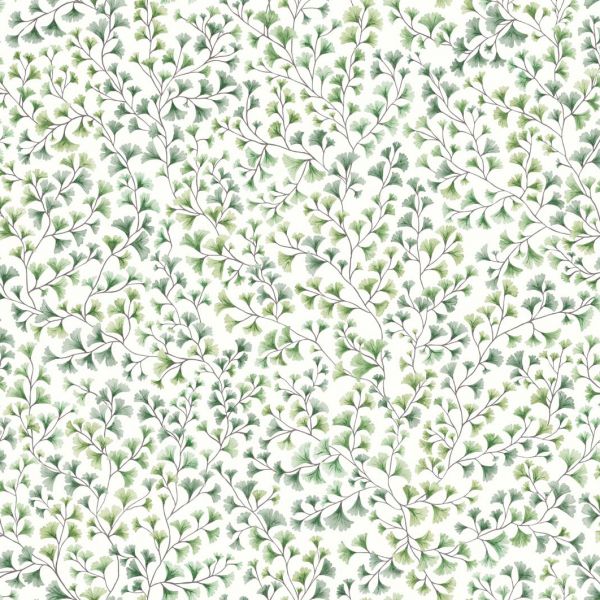 Cole And Son Wallpaper Maidenhair 115/6018 | Allium Interiors