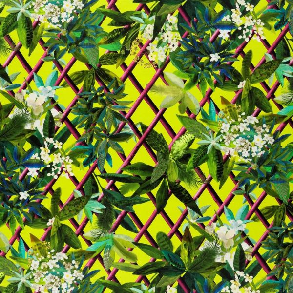 Christian Lacroix Fabric Canopy Lime | Allium Interiors