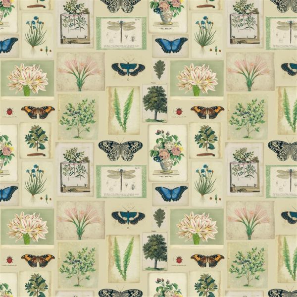 John Derian Fabric Flora And Fauna Parchment | Allium Interiors