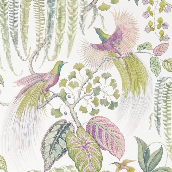 Sanderson Wallpaper Bird of Paradise Orchid | Allium Interiors