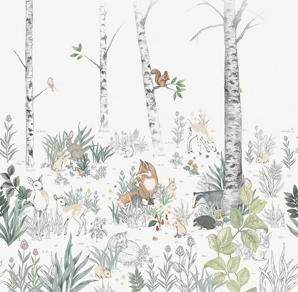 Borastapeter Wallpaper Magic Forest Mural | Allium Interiors