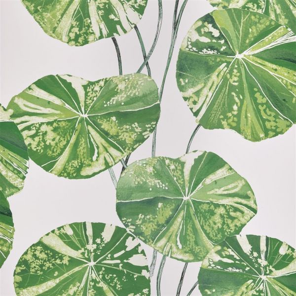 Designers Guild Wallpaper Brahmi Leaf | Allium Interiors
