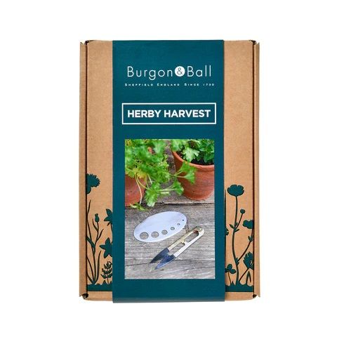 Burgon & Ball Herby Harvest Gift Set | Allium Interiors