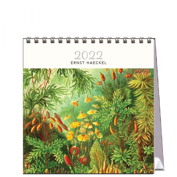 Hello Sunday Desk Calendar Ernst Haeckel | Allium Interiors