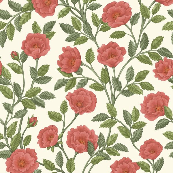 Cole And Son Wallpaper Hampton Roses 118/7013 | Allium Interiors