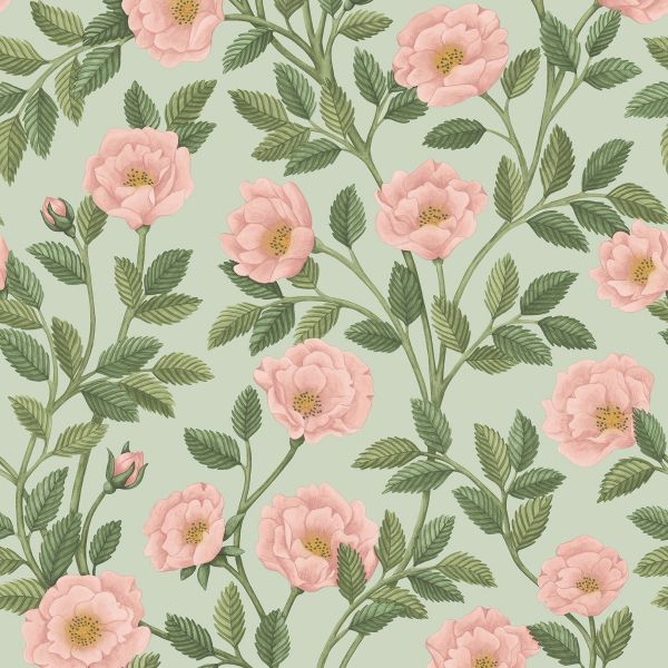 Cole And Son Wallpaper Hampton Roses 118/7014 | Allium Interiors