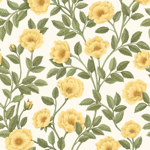 Cole And Son Wallpaper Hampton Roses 118/7015 | Allium Interiors