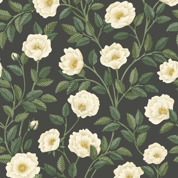 Cole And Son Wallpaper Hampton Roses 118/7016 | Allium Interiors