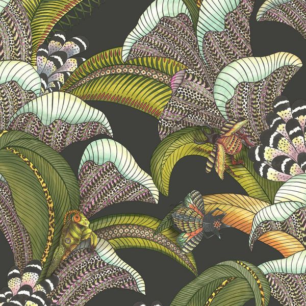 Cole And Son Wallpaper Hoopoe Leaves 119/1002 | Allium Interiors