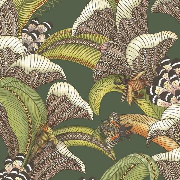 Cole And Son Wallpaper Hoopoe Leaves 119/1003 | Allium Interiors