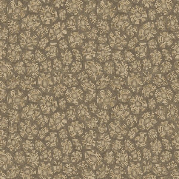 Cole And Son Wallpaper Savanna Shell 119/4020 | Allium Interiors