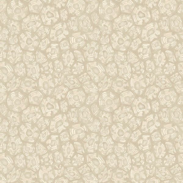 Cole And Son Wallpaper Savanna Shell 119/4021 | Allium Interiors