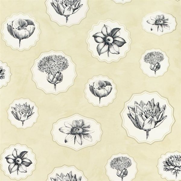 Christian Lacroix Wallpaper Herbariae Primevere | Allium Interiors