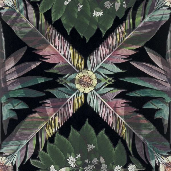 Christian Lacroix Wallpaper Feather Park Jais | Allium Interiors