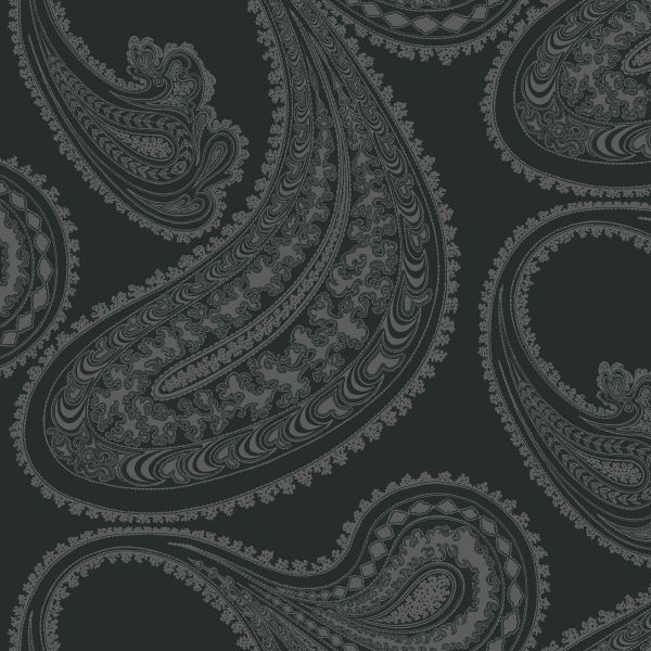Cole And Son Fabric Rajapur Velvet Charocal on Black | Allium Interiors