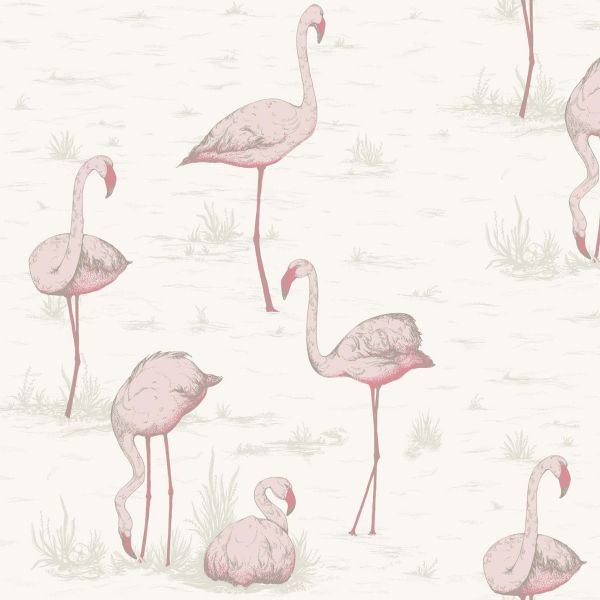 Cole And Son Wallpaper Flamingos 95/8045 | Allium Interiors