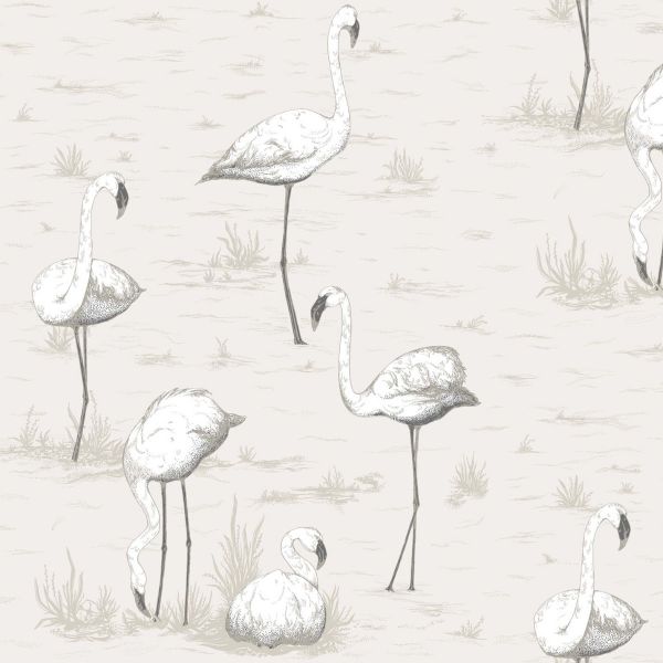 Cole And Son Wallpaper Flamingos 95/8046 | Allium Interiors