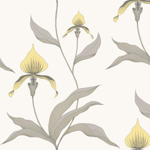 Cole And Son Wallpaper Orchid 95/10057 | Allium Interiors