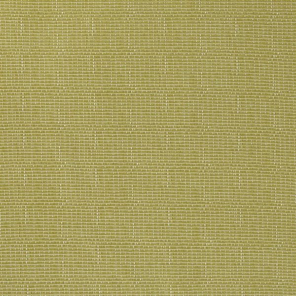 Designers Guild Fabric Pompano Outdoor Acacia | Allium Interiors
