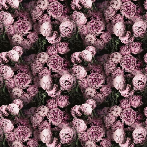 Designers Guild Fabric Vespertina Blossom | Allium Interiors