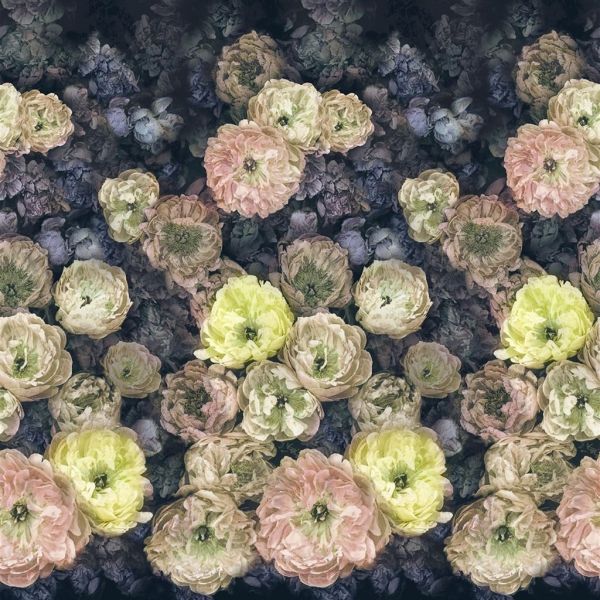 Designers Guild Wallpaper Le Poeme De Fleurs Midnight | Allium Interiors