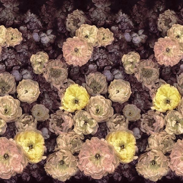 Designers Guild Wallpaper Le Poeme De Fleurs Rosewood | Allium Interiors
