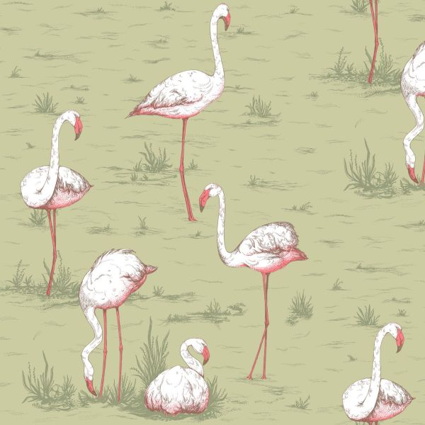 Cole And Son Wallpaper Flamingos 112/11038 | Allium Interiors