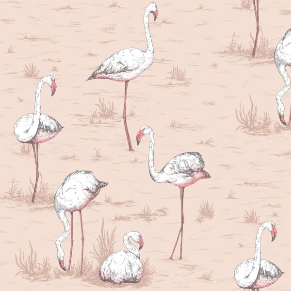 Cole And Son Wallpaper Flamingos 112/11039 | Allium Interiors