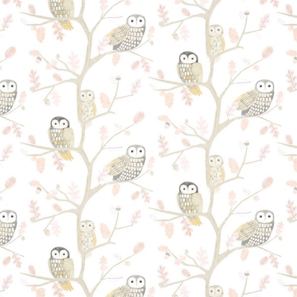Harlequin Wallpaper Little Owls Powder | Allium Interiors