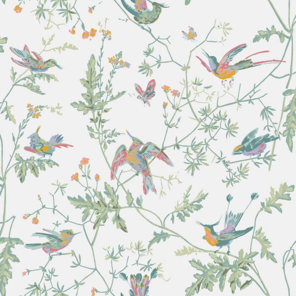 Cole And Son Wallpaper Hummingbirds 112/4016 | Allium Interiors