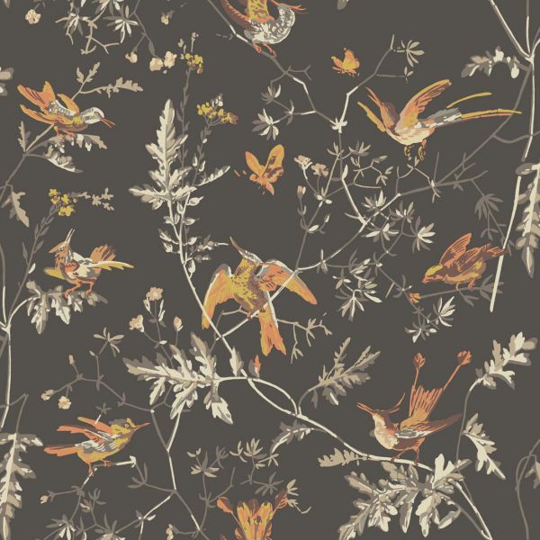 Cole And Son Wallpaper Hummingbirds 112/4017 | Allium Interiors