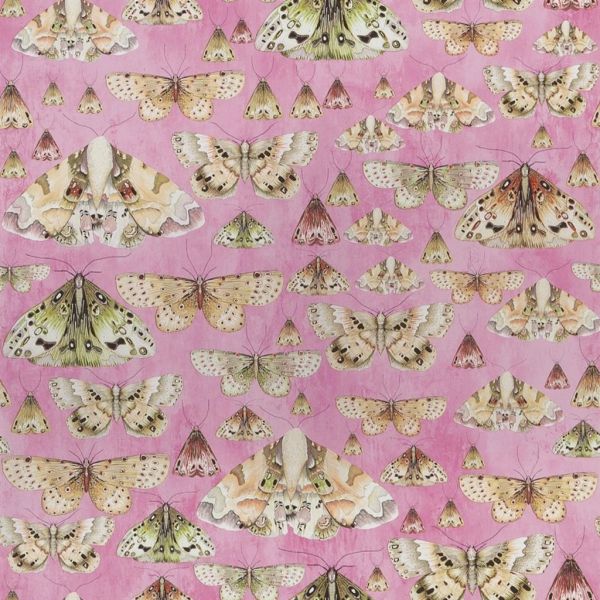 Designers Guild Wallpaper Issoria Rose | Allium Interiors