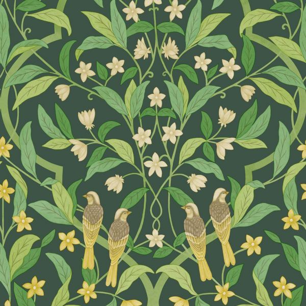 Cole And Son Wallpaper Jasmine & Serin Symphony 117/10029 | Allium Interiors