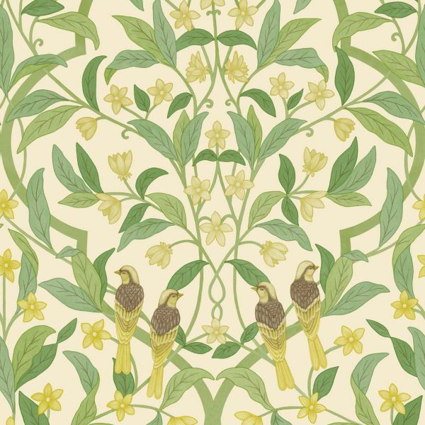 Cole And Son Wallpaper Jasmine & Serin Symphony 117/10031 | Allium Interiors