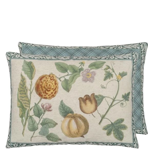 John Derian Cushion Lemons Canvas | Allium Interiors