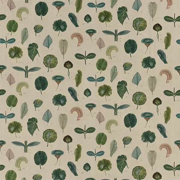 John Derian Fabric A Leaf Study Linen | Allium Interiors
