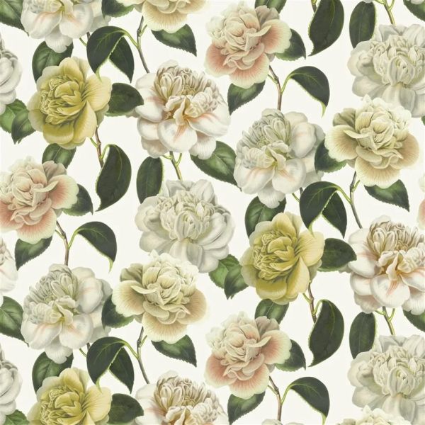 John Derian Fabric Camellia Folly Parchment | Allium Interiors