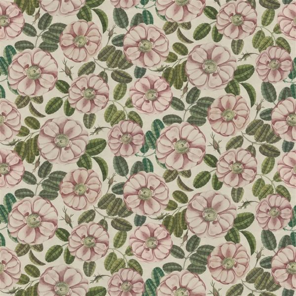 John Derian Fabric La Rose Rose | Allium Interiors