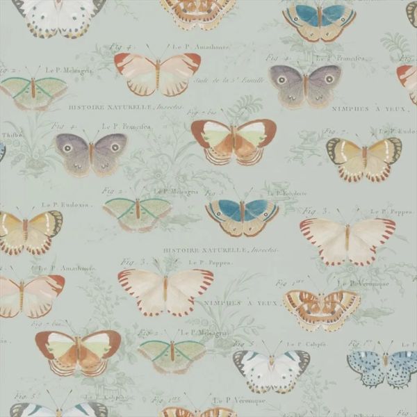 John Derian Wallpaper Butterfly Studies Eau De Nil | Allium Interiors