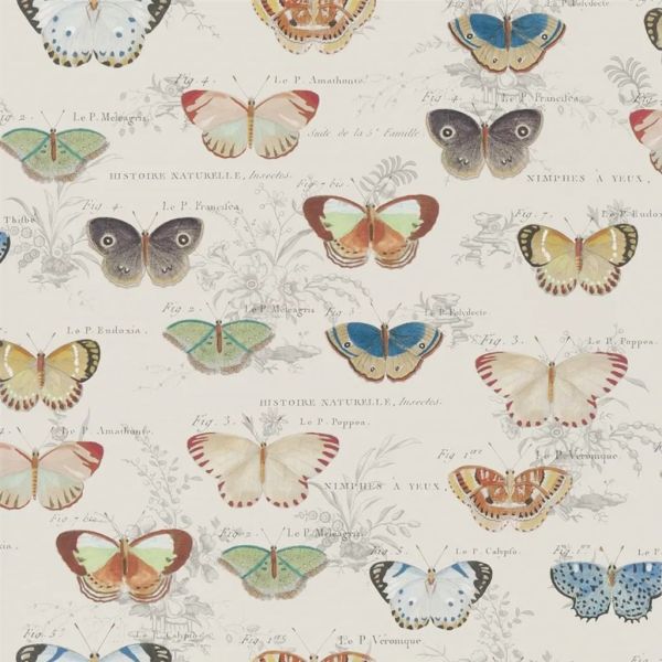 John Derian Wallpaper Butterfly Studies Parchment | Allium Interiors