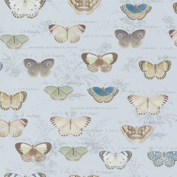John Derian Wallpaper Butterfly Studies Sky Blue | Allium Interiors