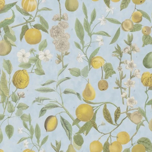 John Derian Wallpaper Orchard Fruits Sky Blue | Allium Interiors