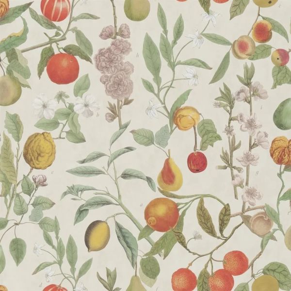 John Derian Wallpaper Orchard Fruits Parchment | Allium Interiors