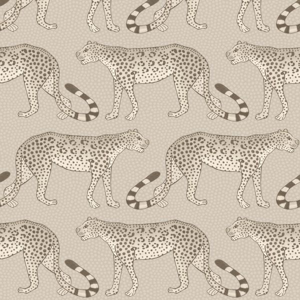 Cole And Son Wallpaper Leopard Walk 109/2012 | Allium Interiors