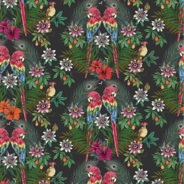 Matthew Williamson Wallpaper Ventura Noir | Allium Interiors