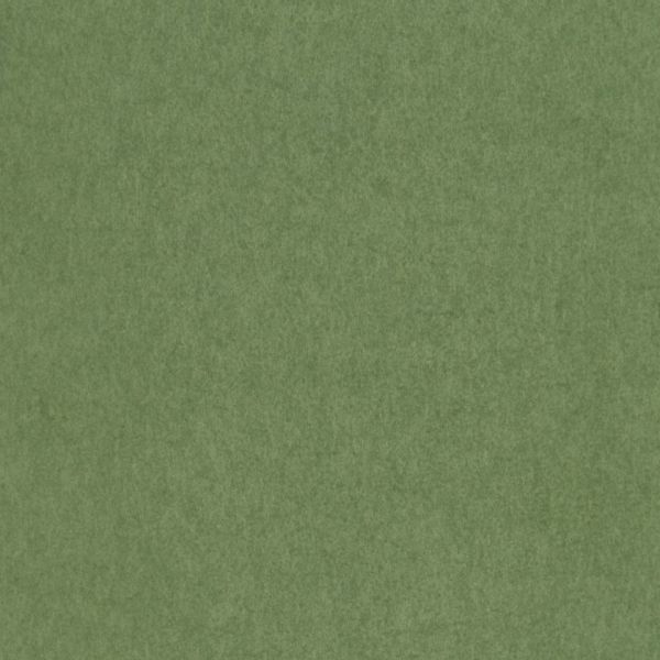 Osborne & Little Wallpaper Chroma W7360-01 | Allium Interiors